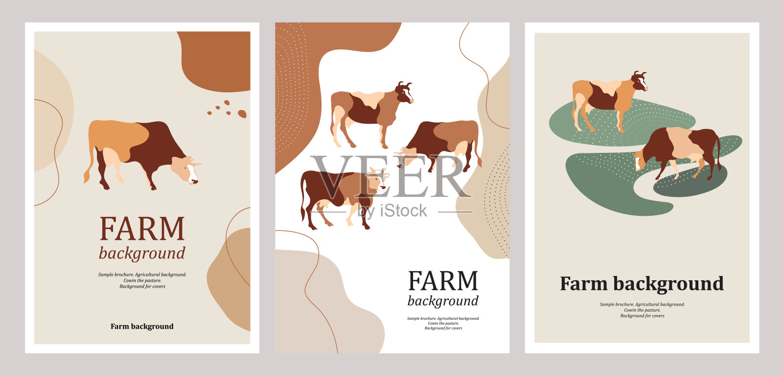 农业手册样本封面。牧场上的牛。插画图片素材