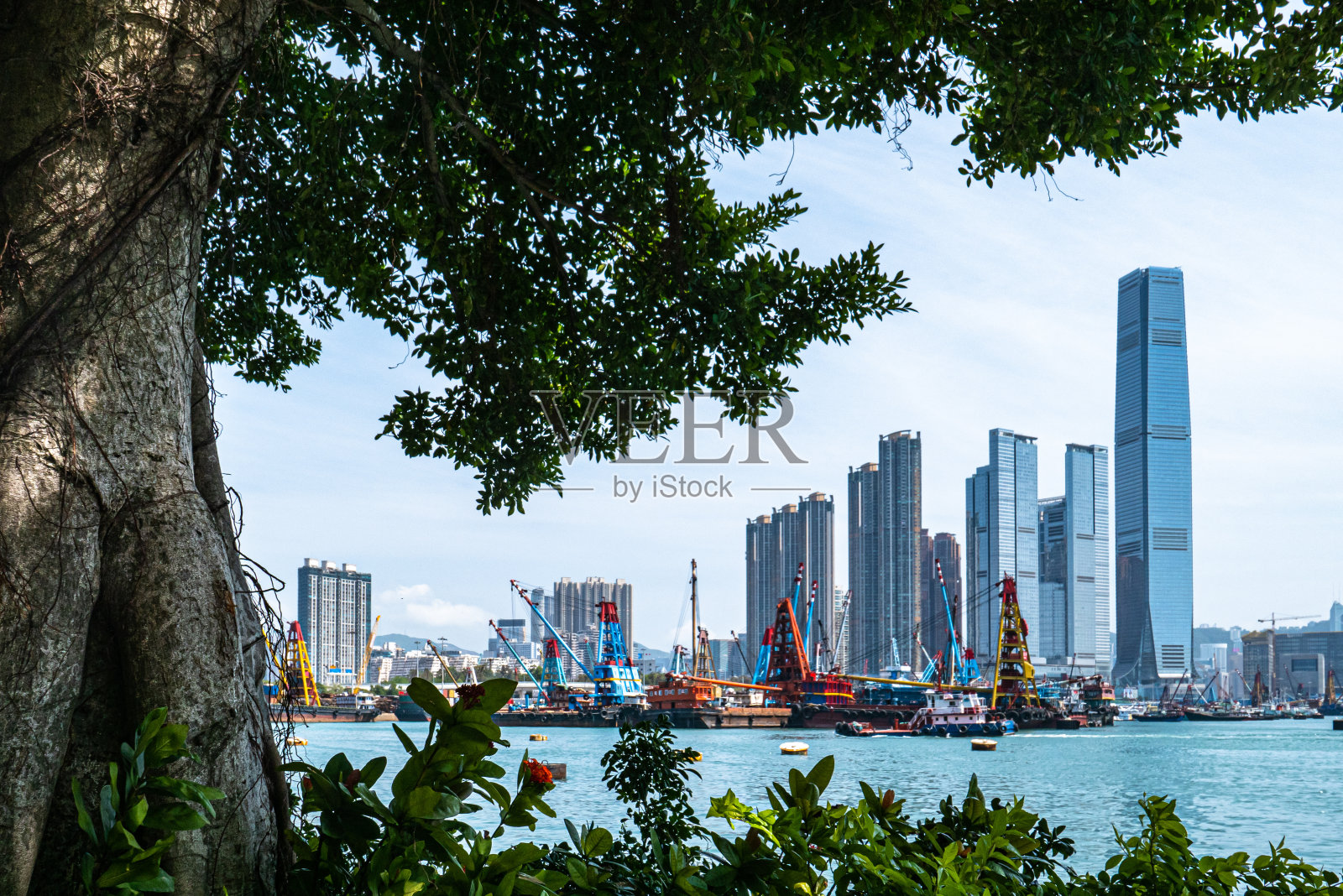 西九龙及香港照片摄影图片