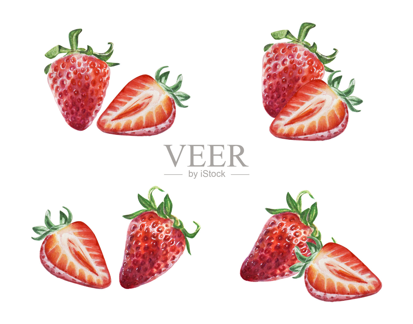 一套红色水彩多汁草莓与半浆果。手绘食物插图。水果打印。插画图片素材