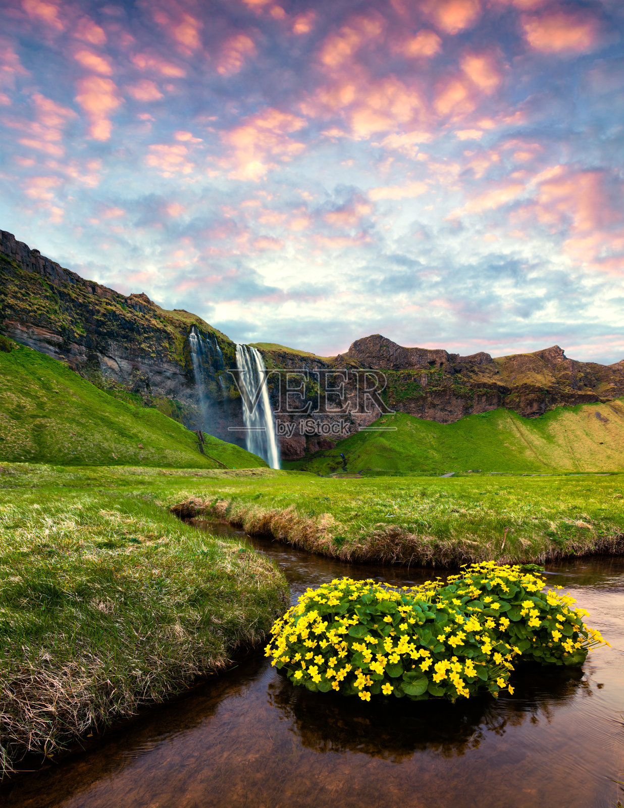 Seljalandfoss瀑布在夏天的Seljalandsa河上的色彩斑斓的早晨视图。欧洲冰岛令人印象深刻的日出。自然美的概念背景。照片摄影图片