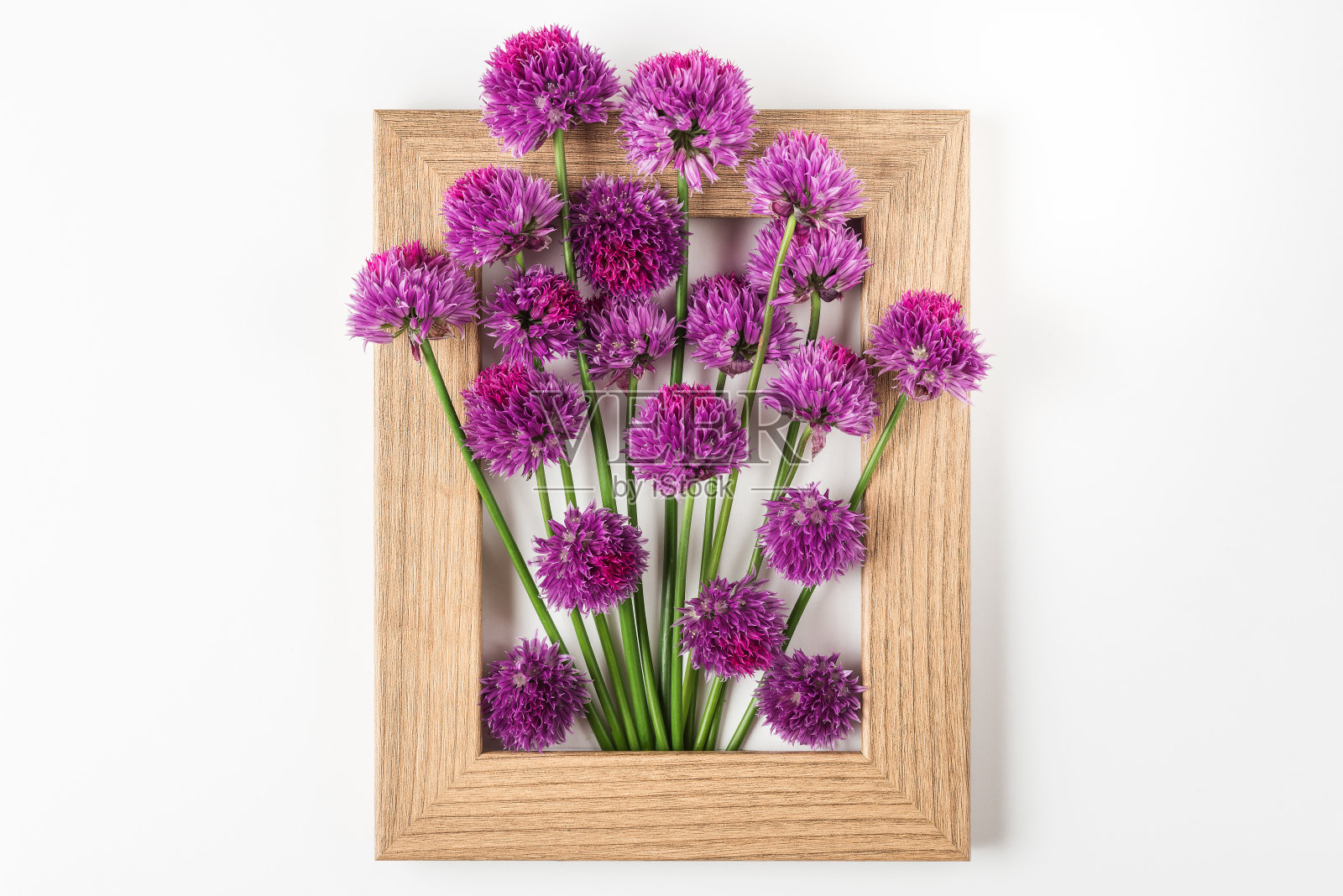 用紫色的花在白色背景的画框上进行创意的布局。平的。花组成照片摄影图片