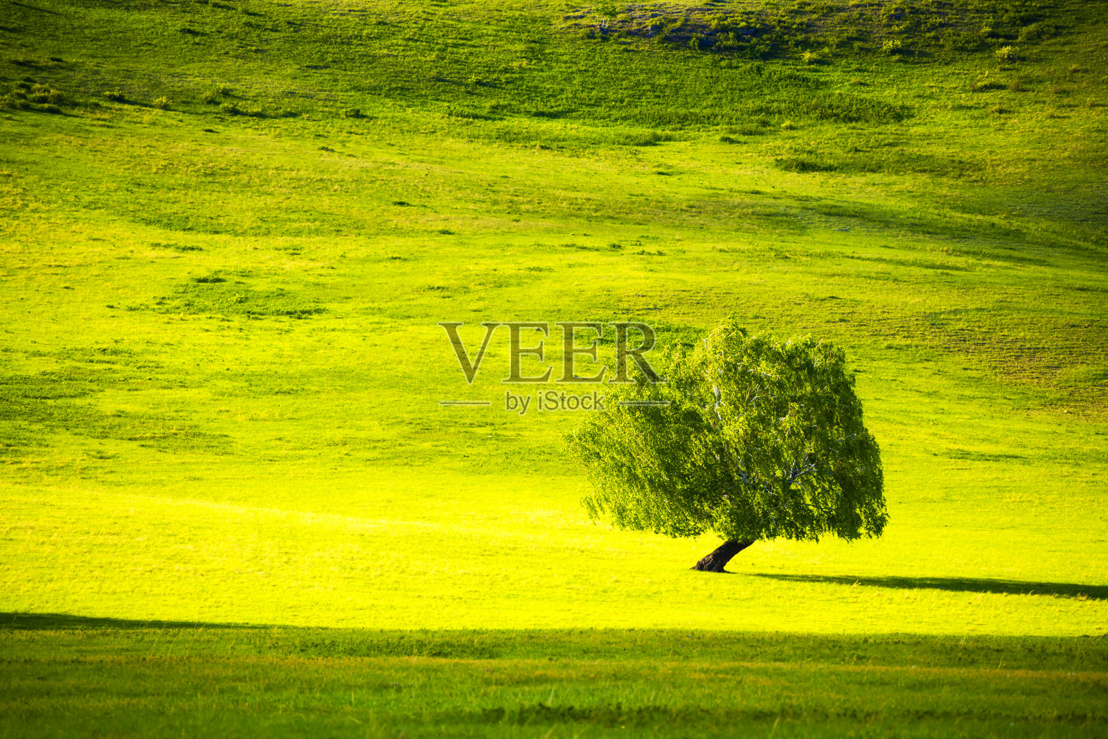 青山绿树，绿草如茵。照片摄影图片