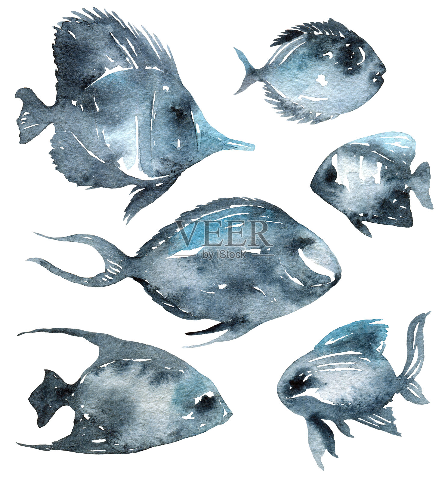 水彩画的鱼插画图片素材