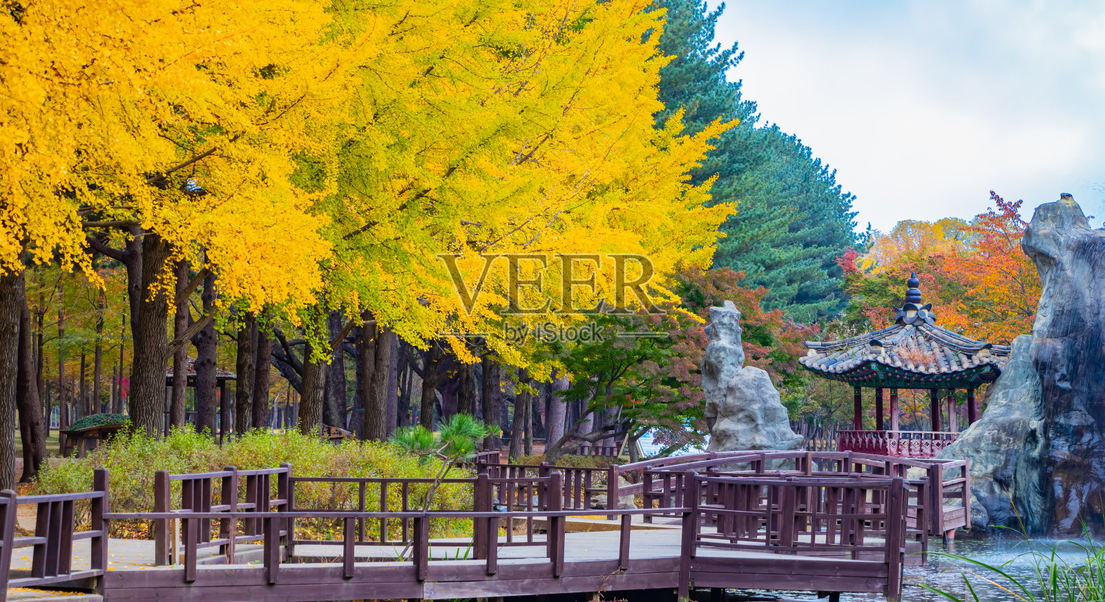 韩国奈美岛的秋天照片摄影图片