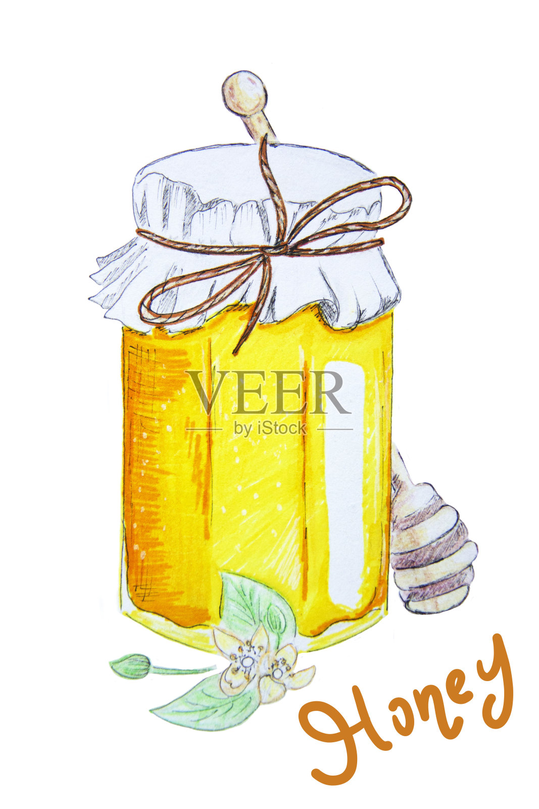 一罐椴树蜂蜜，用手写的毡尖笔做插图插画图片素材