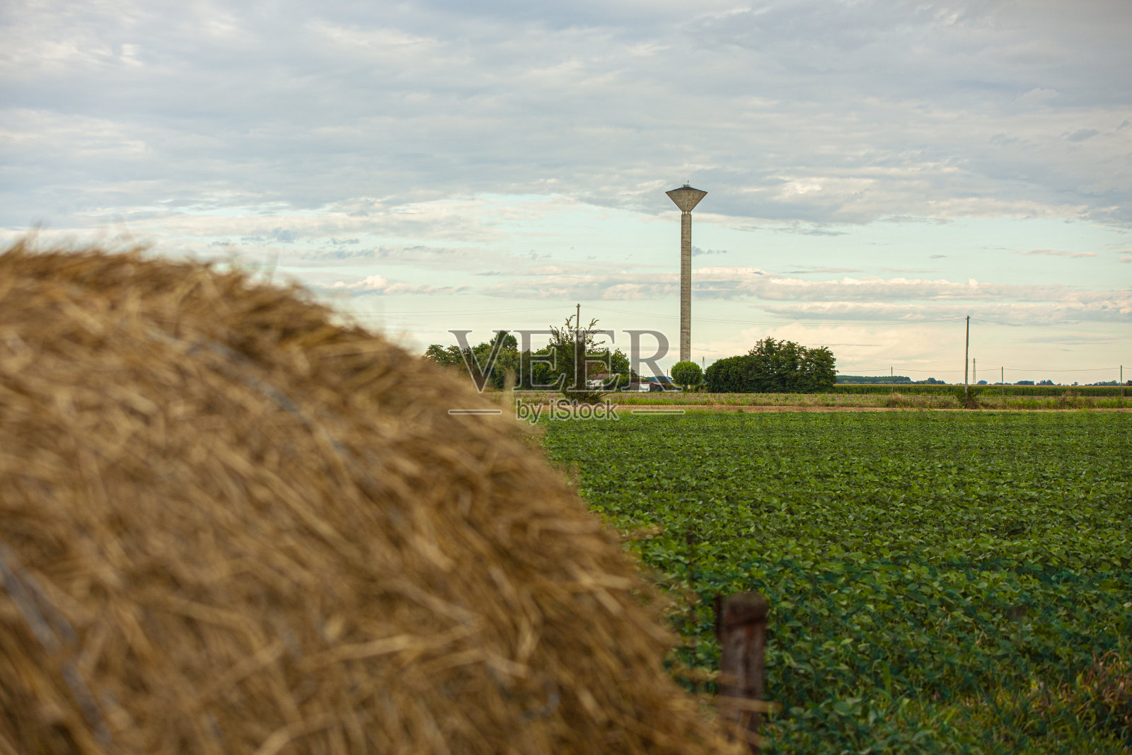 意大利乡村景观与干草捆照片摄影图片