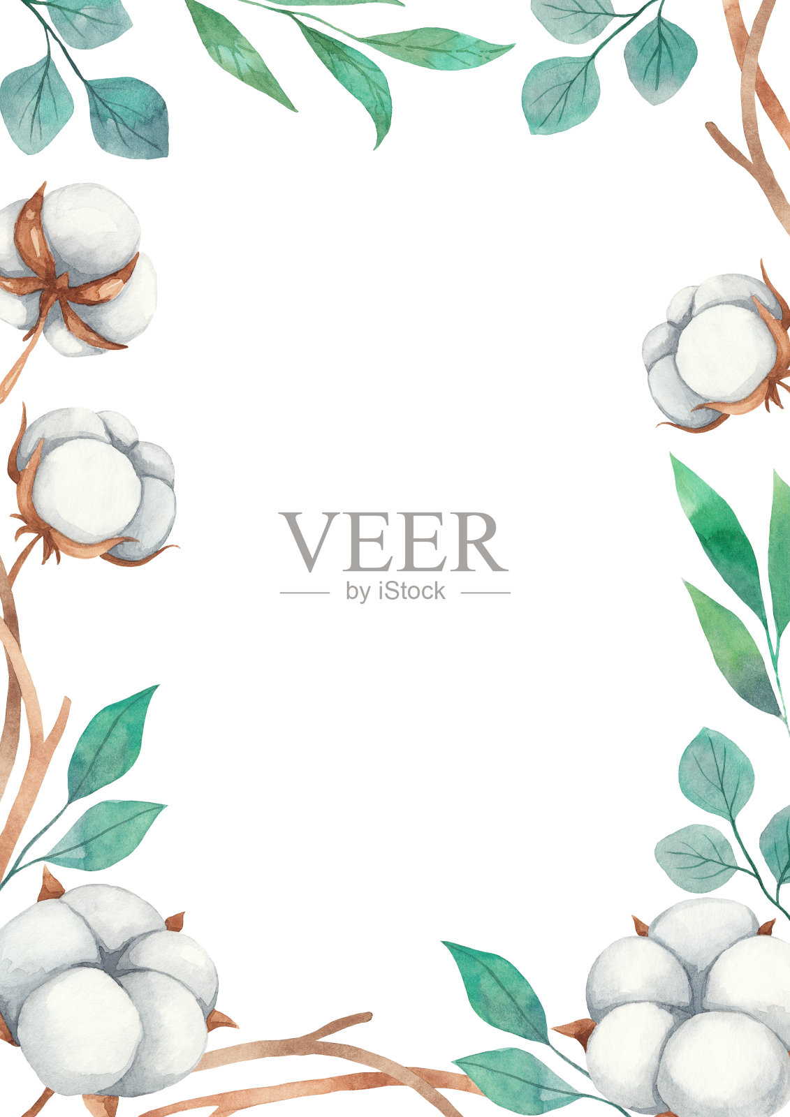 水彩框架的花卉元素，从棉花花，树枝。水彩元素孤立的白色背景插画图片素材