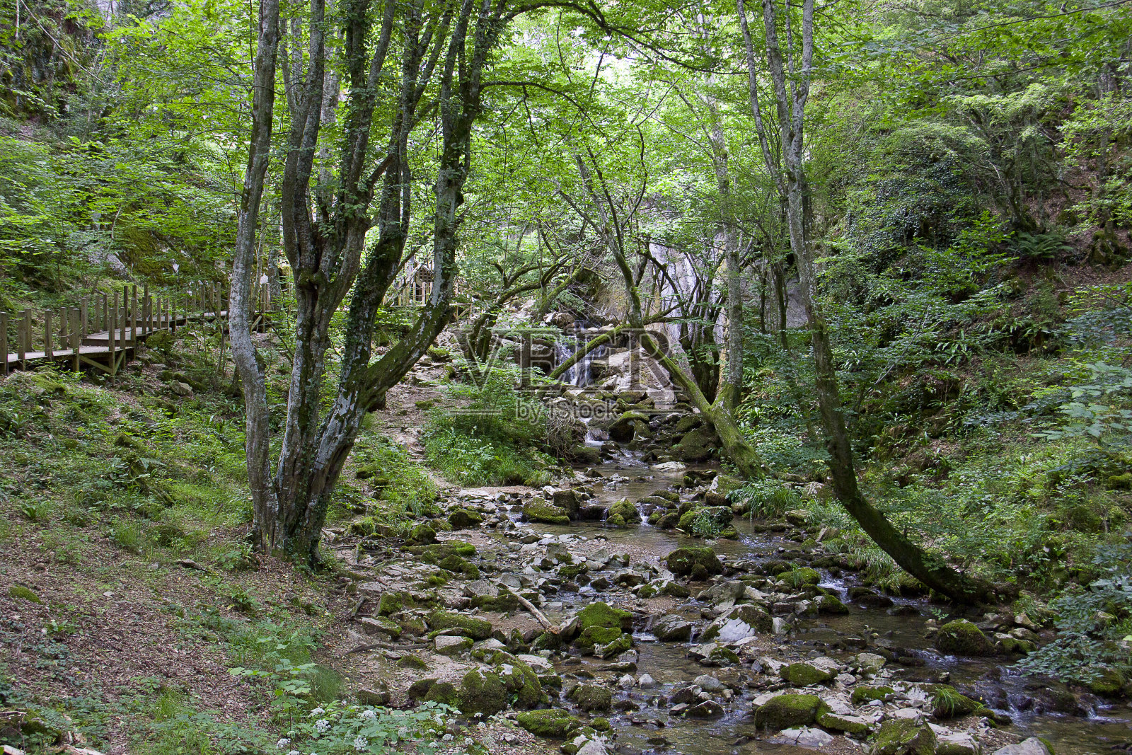 杜普尼萨洞穴附近的自然景观照片摄影图片