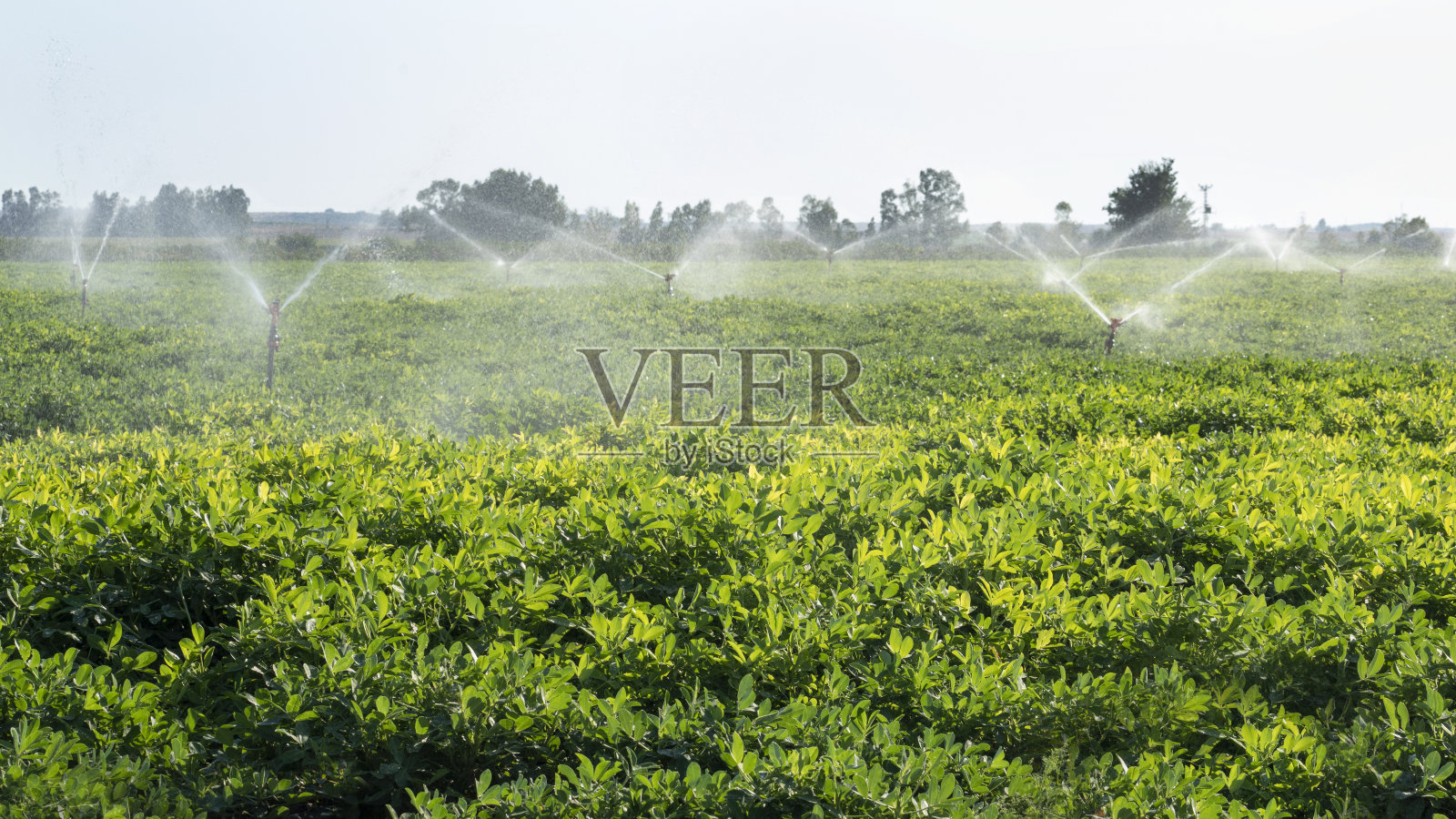农田灌溉系统照片摄影图片