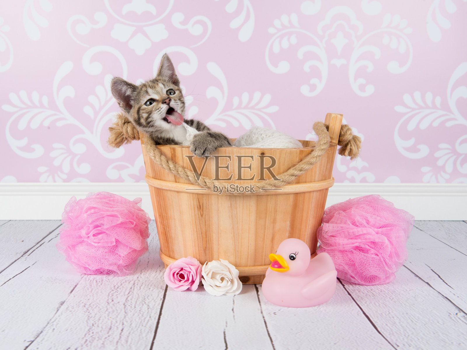 可爱的小虎斑猫在一个粉红色的浴室设置木浴缸照片摄影图片