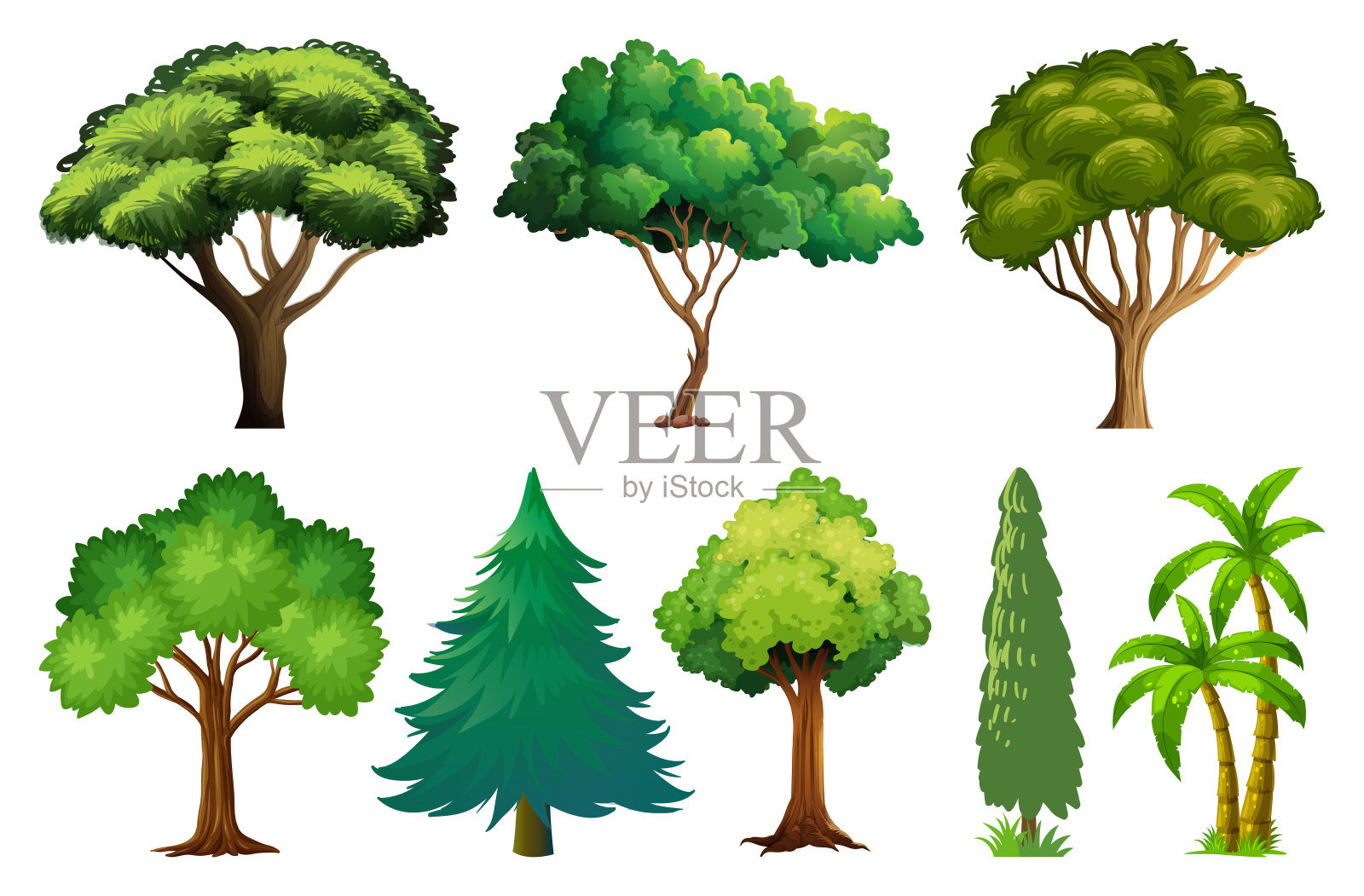各种植物和树木插画图片素材