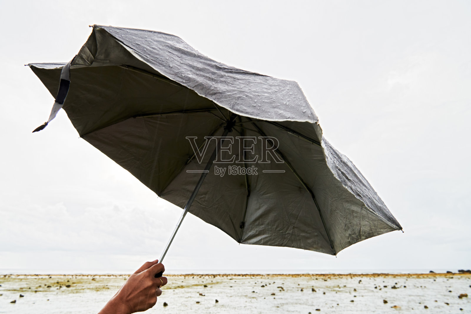 女人的手拿着一把打开的伞在雨中照片摄影图片