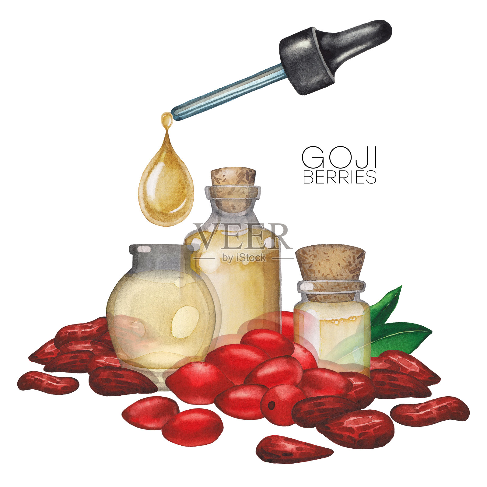 水彩精油瓶装饰枸杞叶和浆果插画图片素材