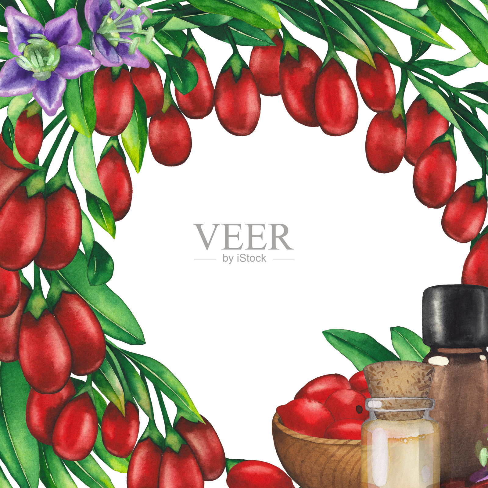 水彩精油瓶装饰枸杞浆果，树叶和花。插画图片素材