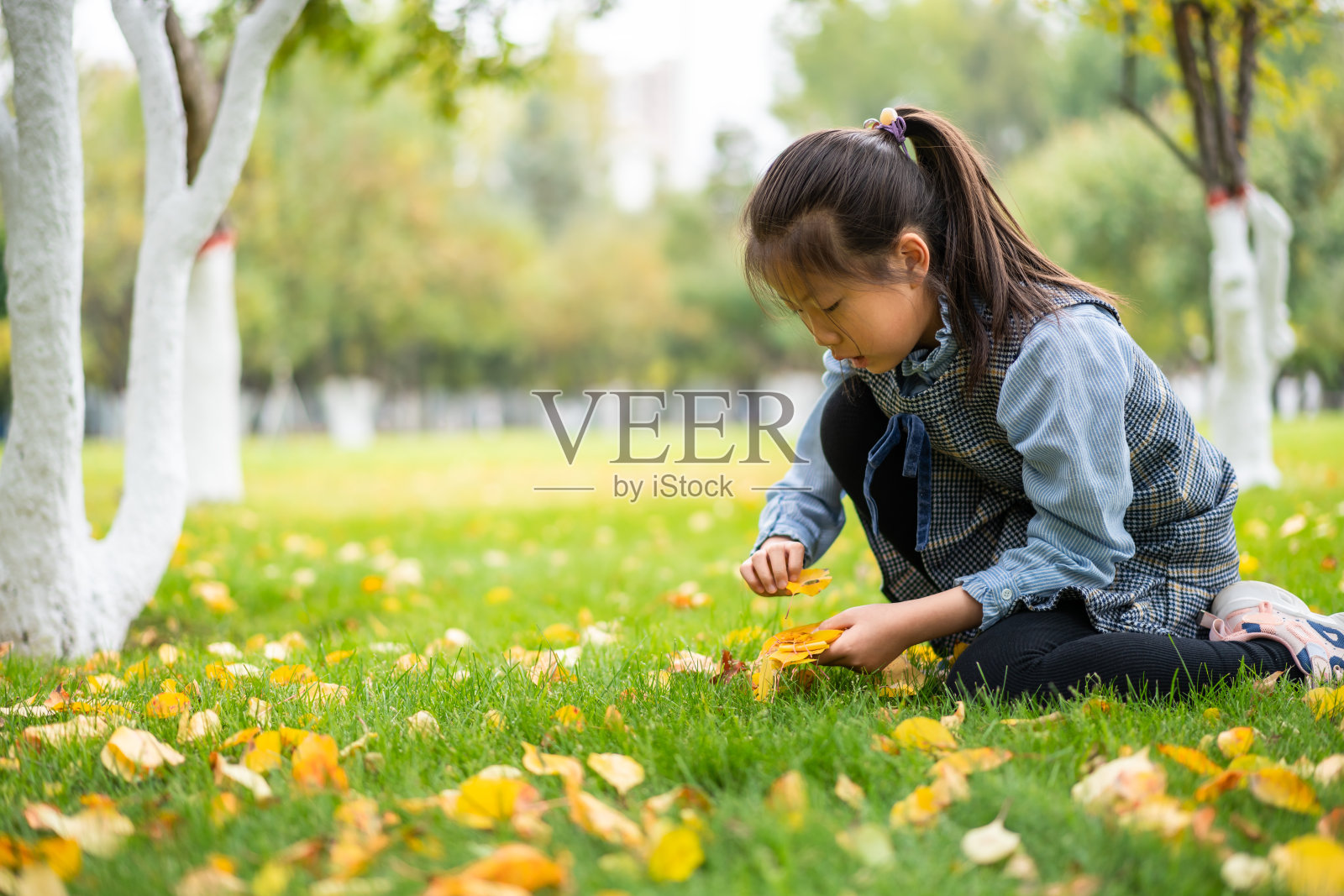 秋天，亚洲可爱的小女孩在城市公园里玩耍照片摄影图片