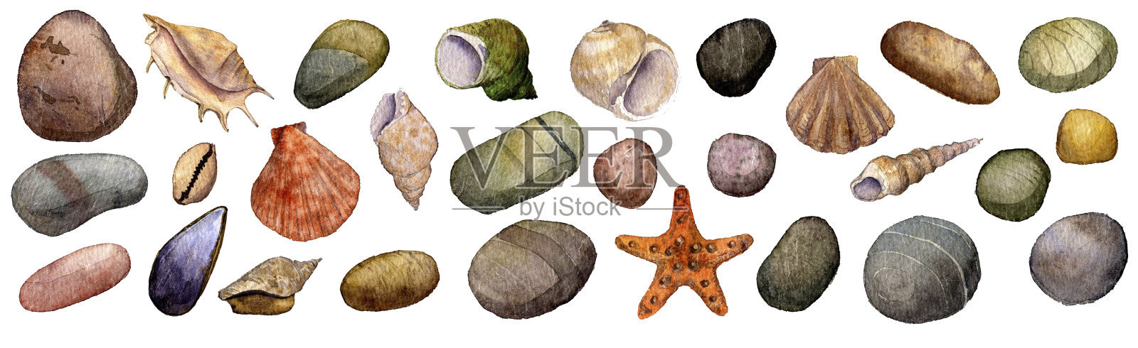 水彩画贝壳和石头插画图片素材