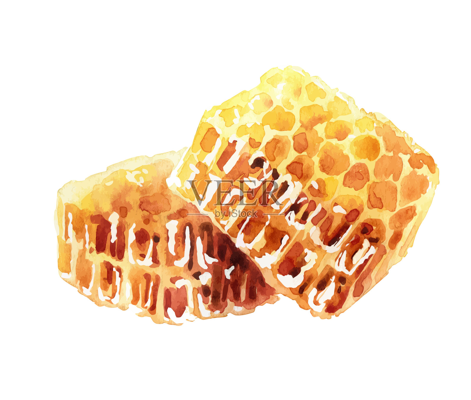 水彩蜂巢在白色的背景插画图片素材
