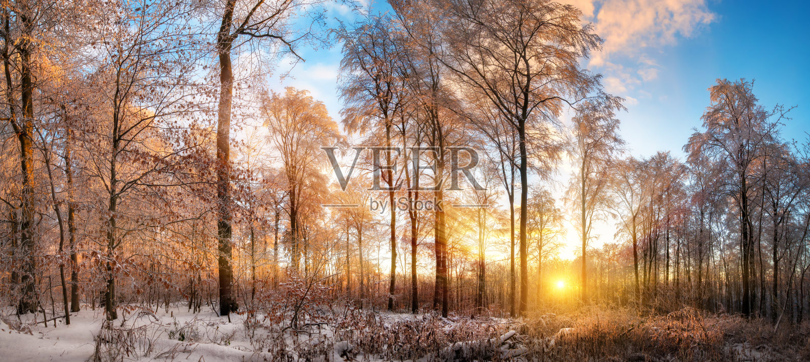 森林日落时的冬季景色照片摄影图片