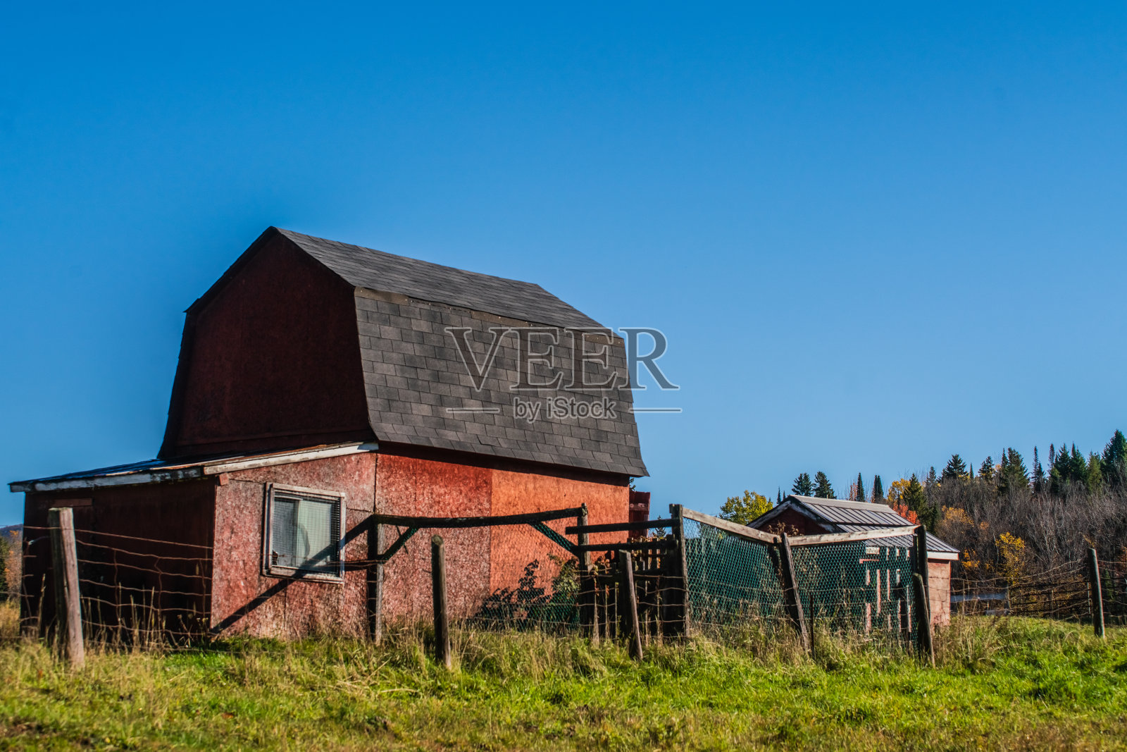 蓝色天空的小红谷仓照片摄影图片