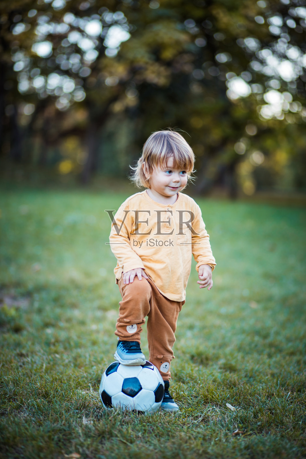 小男孩把足球放在草地上。照片摄影图片