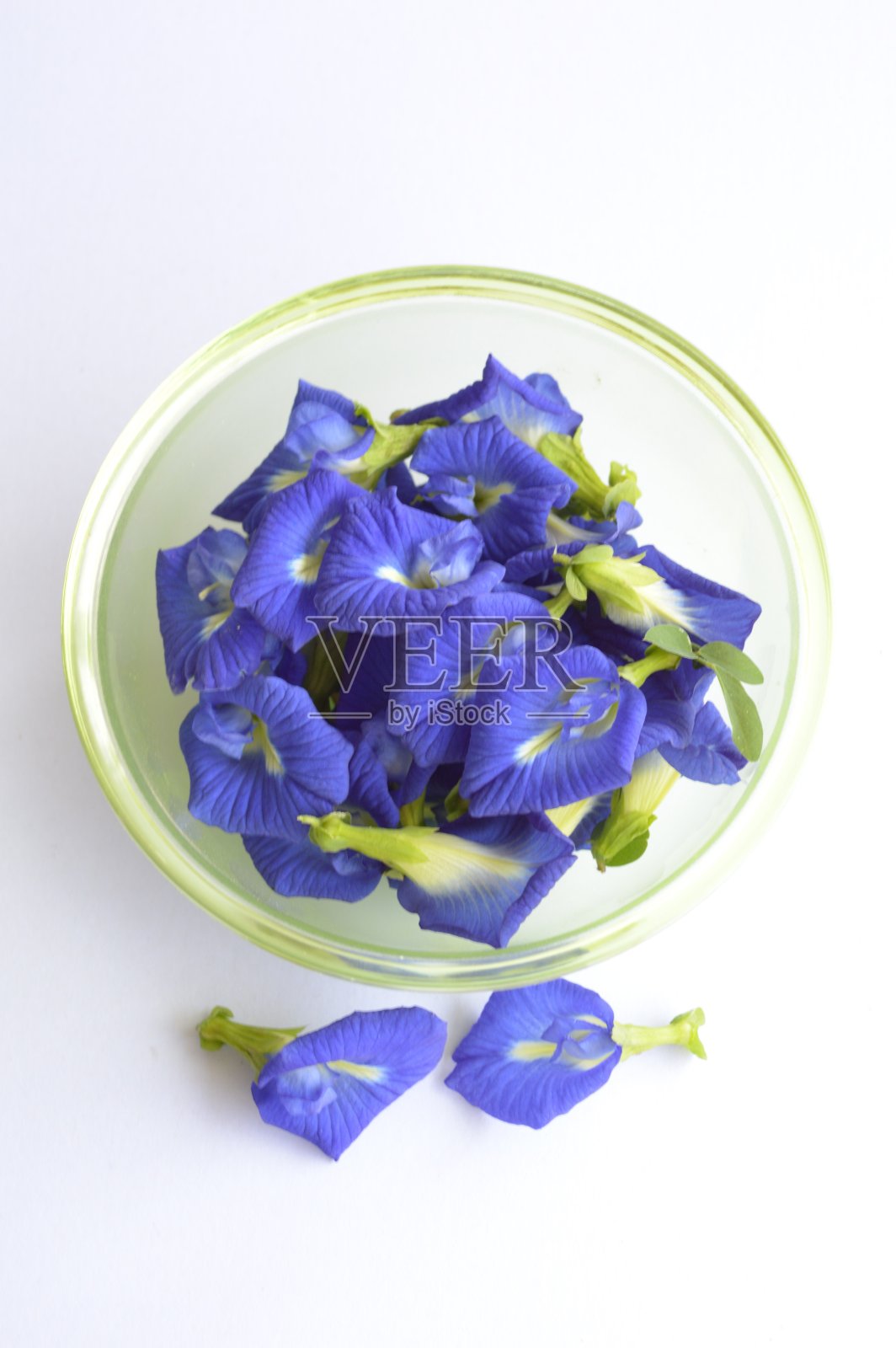 白色背景上的蓝色蝴蝶豌豆花照片摄影图片