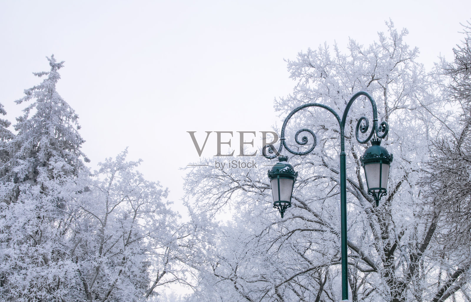 冬天的风景有霜冻的树木和路灯照片摄影图片