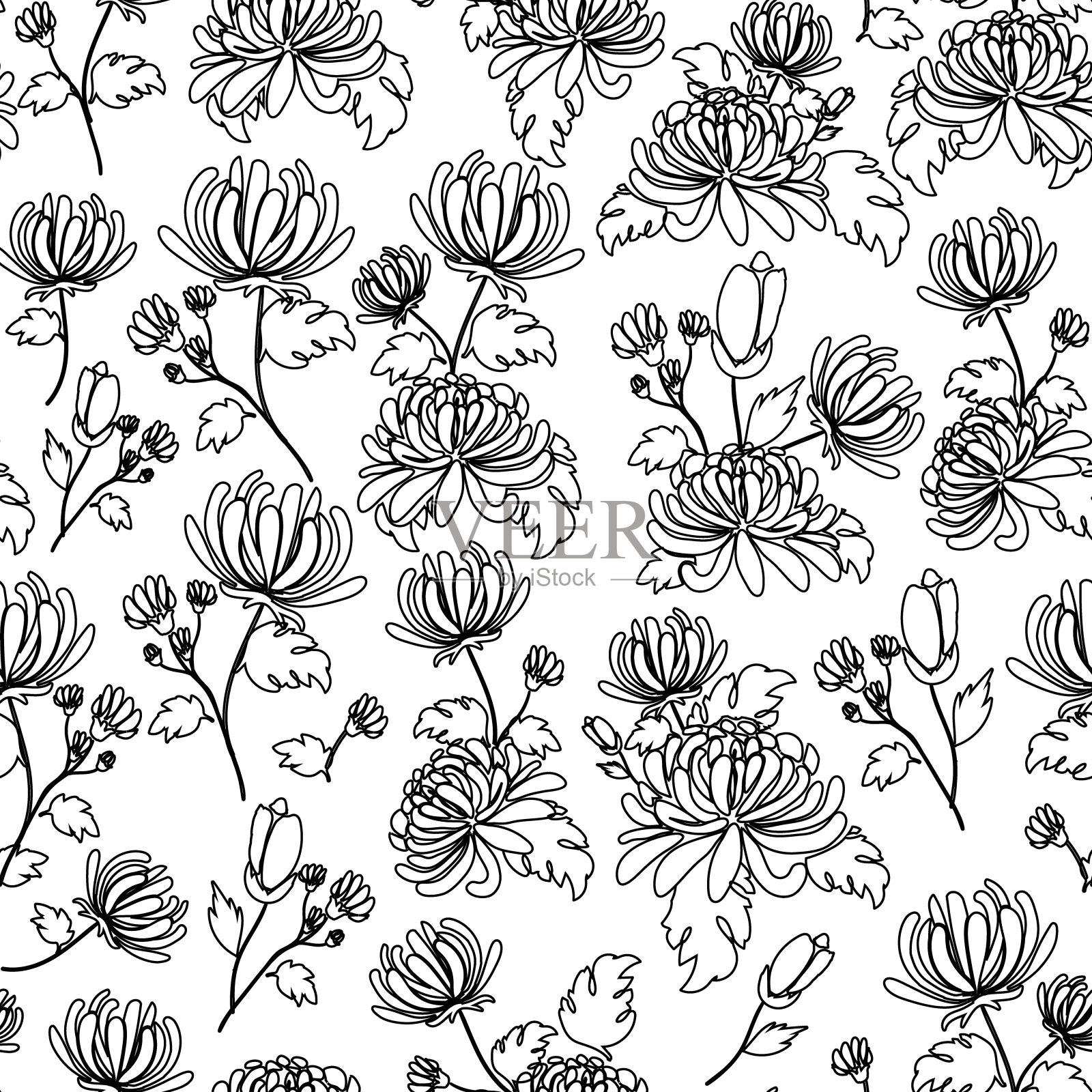黑色和白色，花束菊花，轮廓手工插图，素描在白色的背景插画图片素材