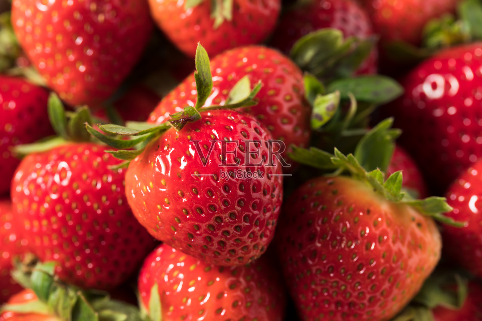 生红有机草莓照片摄影图片