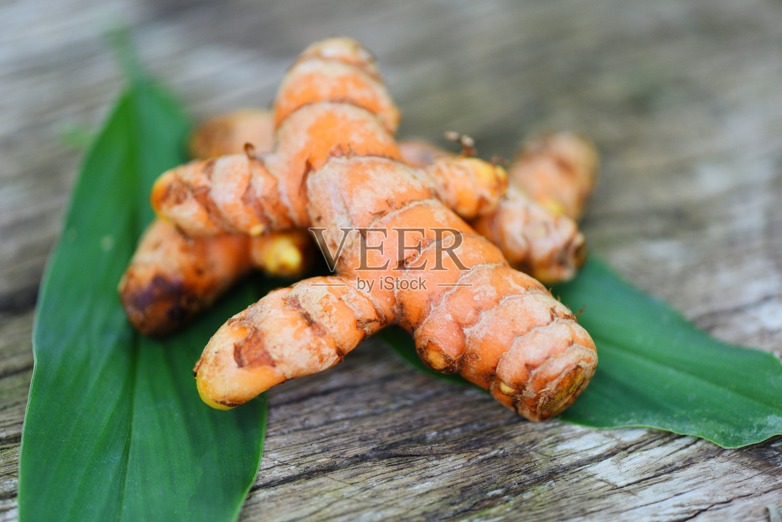 姜黄木制，鲜姜黄根和绿叶为天然药草和煮食配料。照片摄影图片