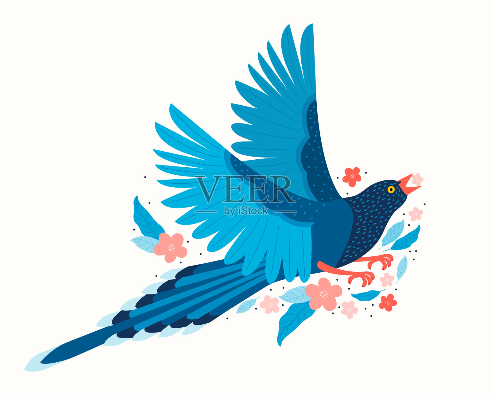 台湾蓝喜鹊属珍奇品种设计元素图片