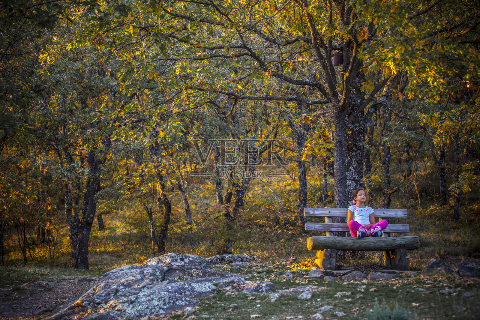 西班牙埃斯特雷马杜拉，一个小女孩坐在森林中照片摄影图片