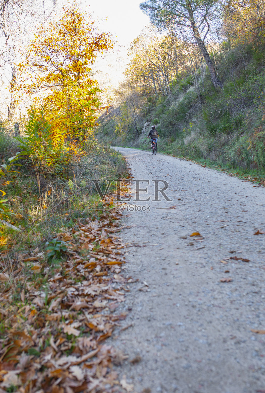 绿色之路，Banos de Montemayor在魔法秋天，埃斯特雷马杜拉，西班牙照片摄影图片