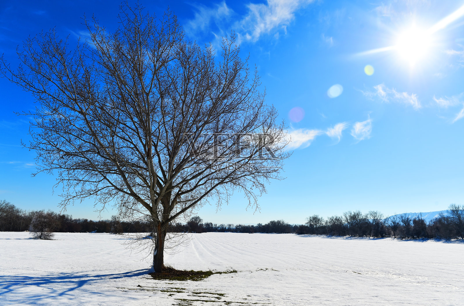 雪景和蓝天照片摄影图片