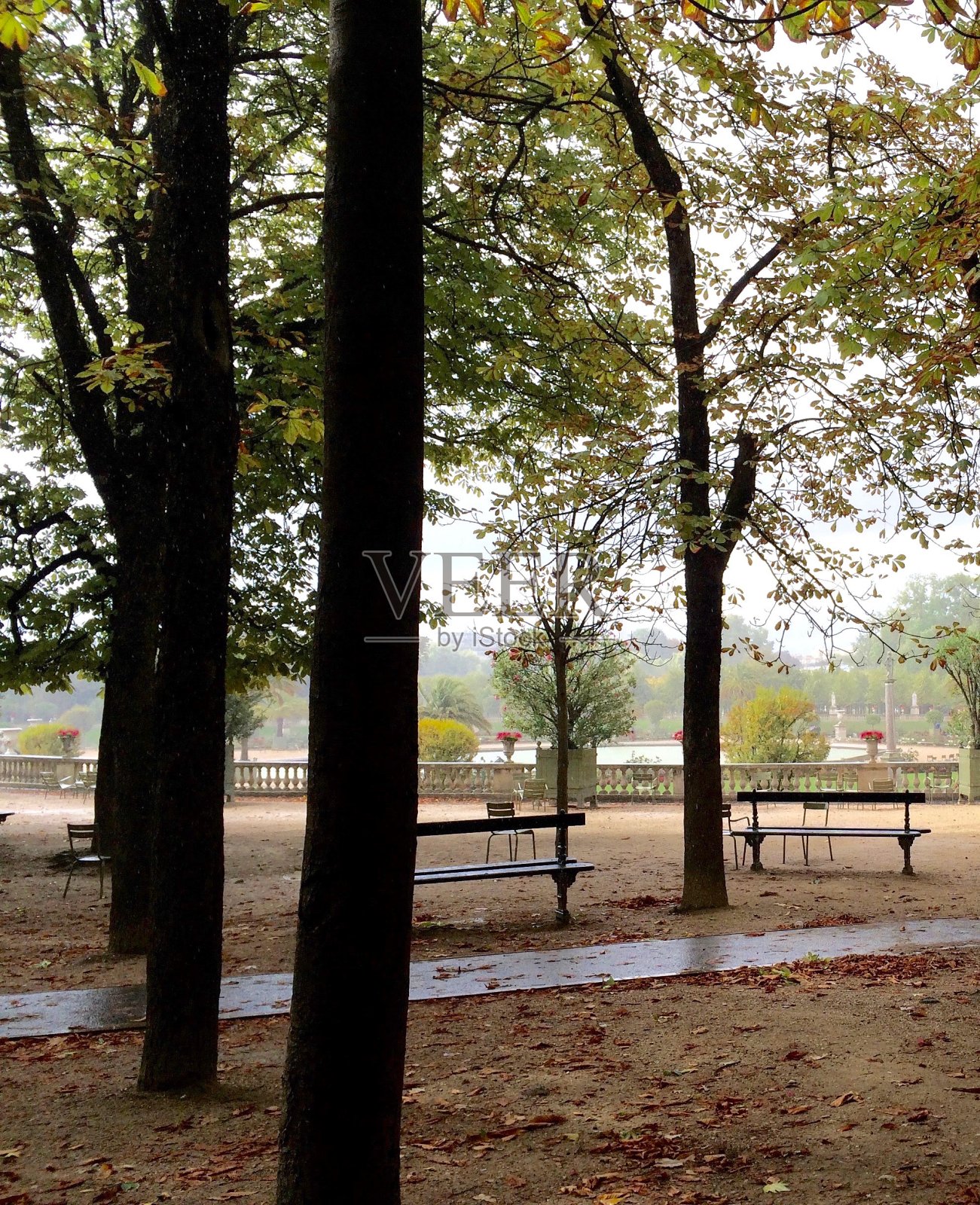 雨后空旷的卢森堡公园(卢森堡公园)照片摄影图片
