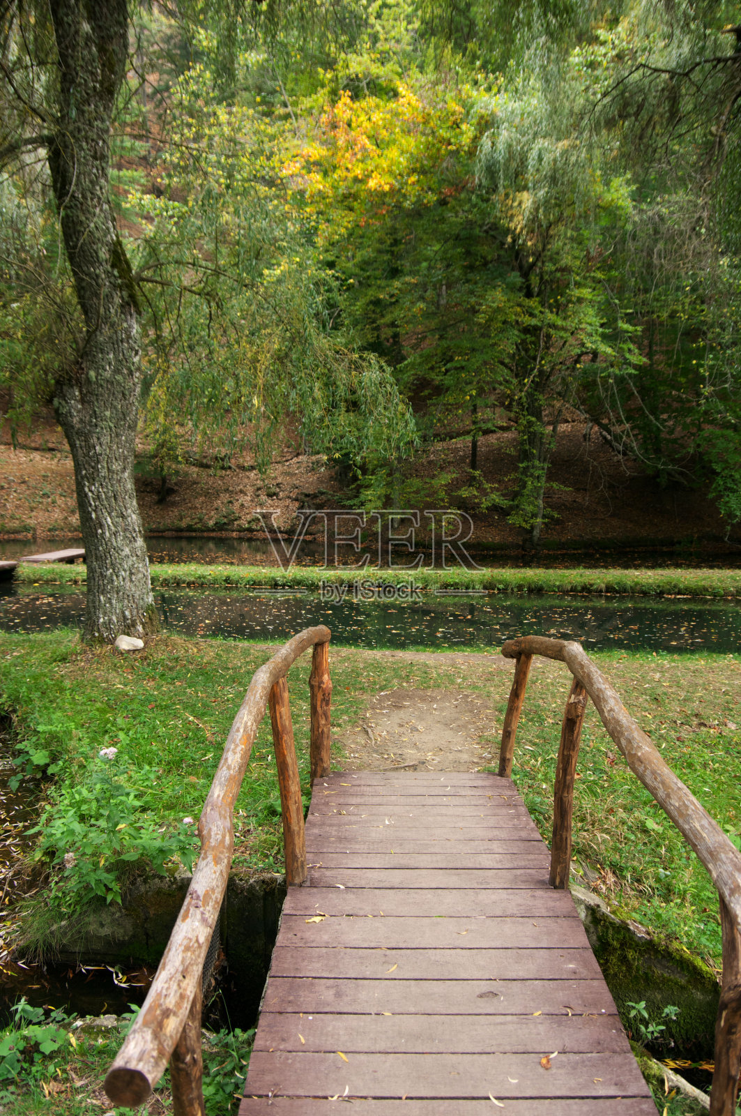 公园里的木桥和池塘照片摄影图片