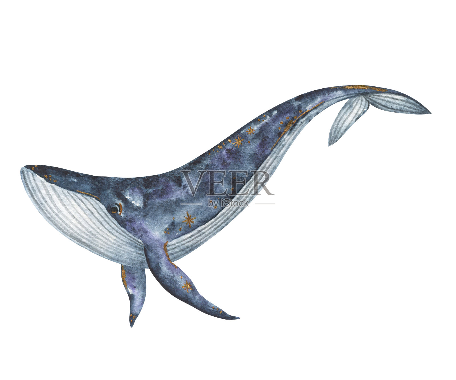 藍色的鯨魚 愛心的鯨魚 卡通插畫 鯨魚的插畫, 卡通插畫, 鯨魚的插畫, 動物插畫素材圖案，PSD和PNG圖片免費下載