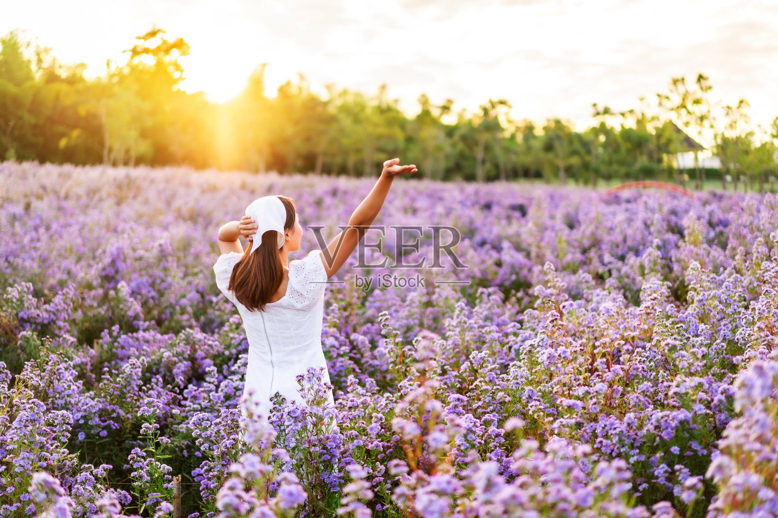 年轻女子放松和享受在鲜花盛开的田野在早晨照片摄影图片