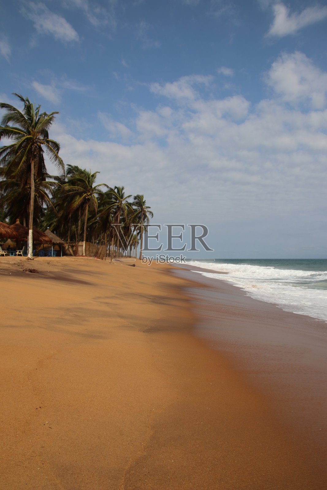 西非多哥阿韦波佐美丽的可可海滩上的椰子树。照片摄影图片