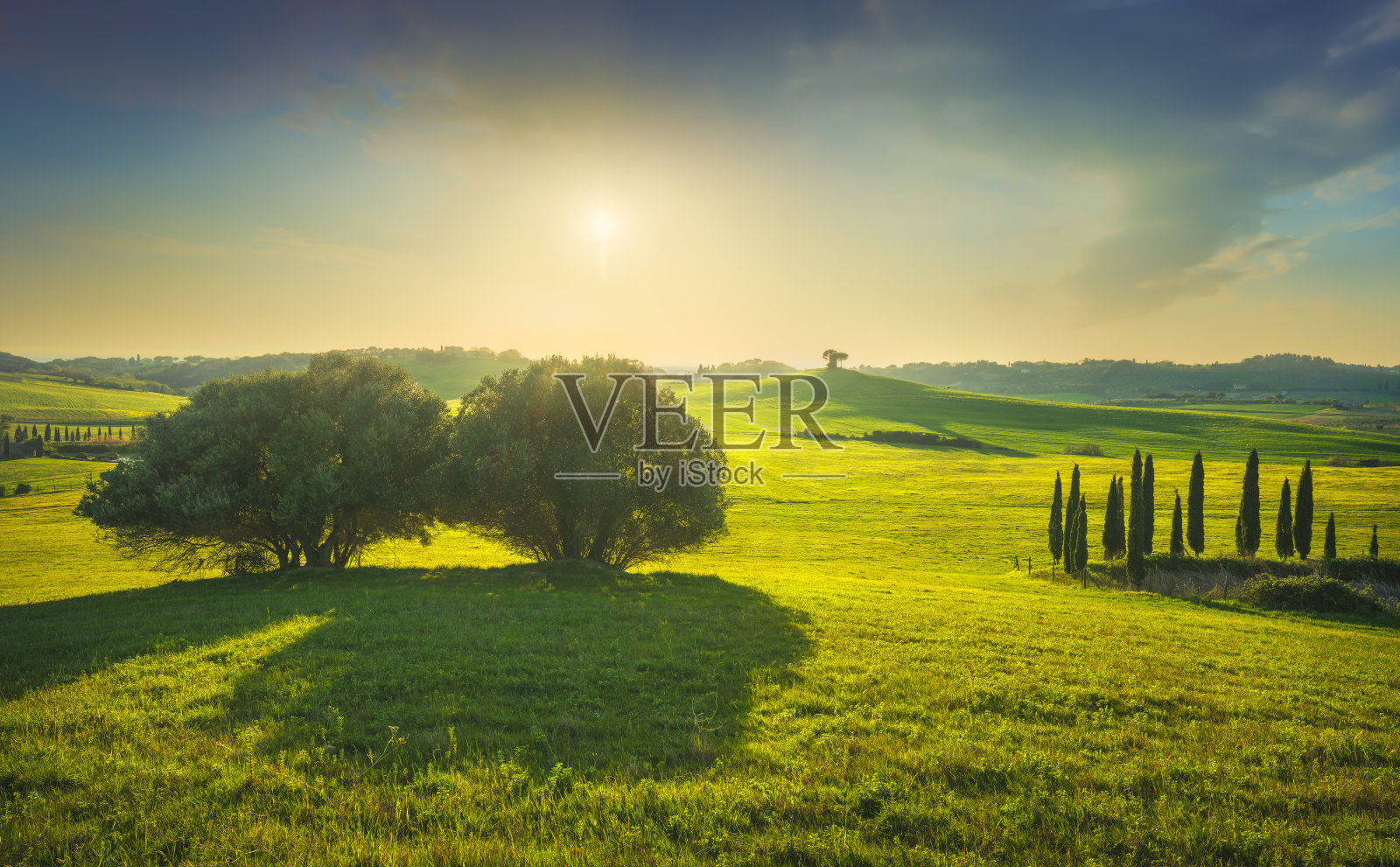 玛瑞玛的日落景观。连绵起伏的山丘和树木。Bibbona,托斯卡纳,意大利照片摄影图片