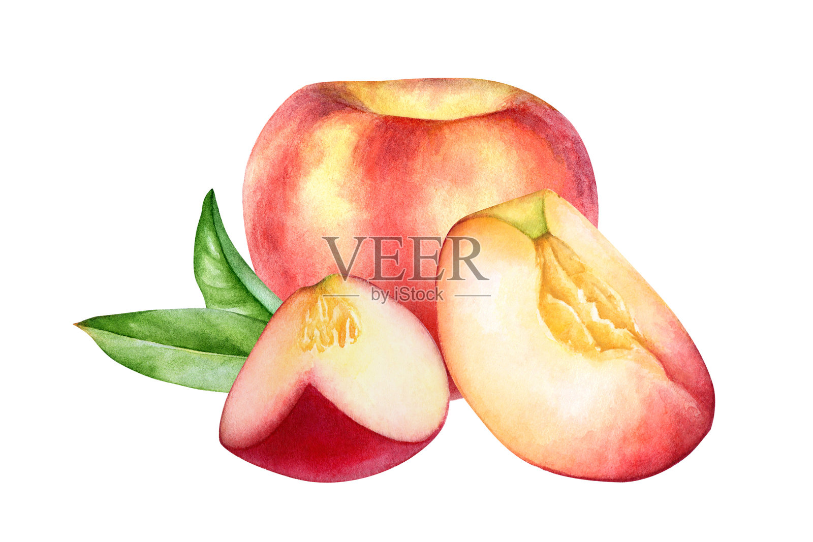水彩插图的桃子水果与树叶插画图片素材