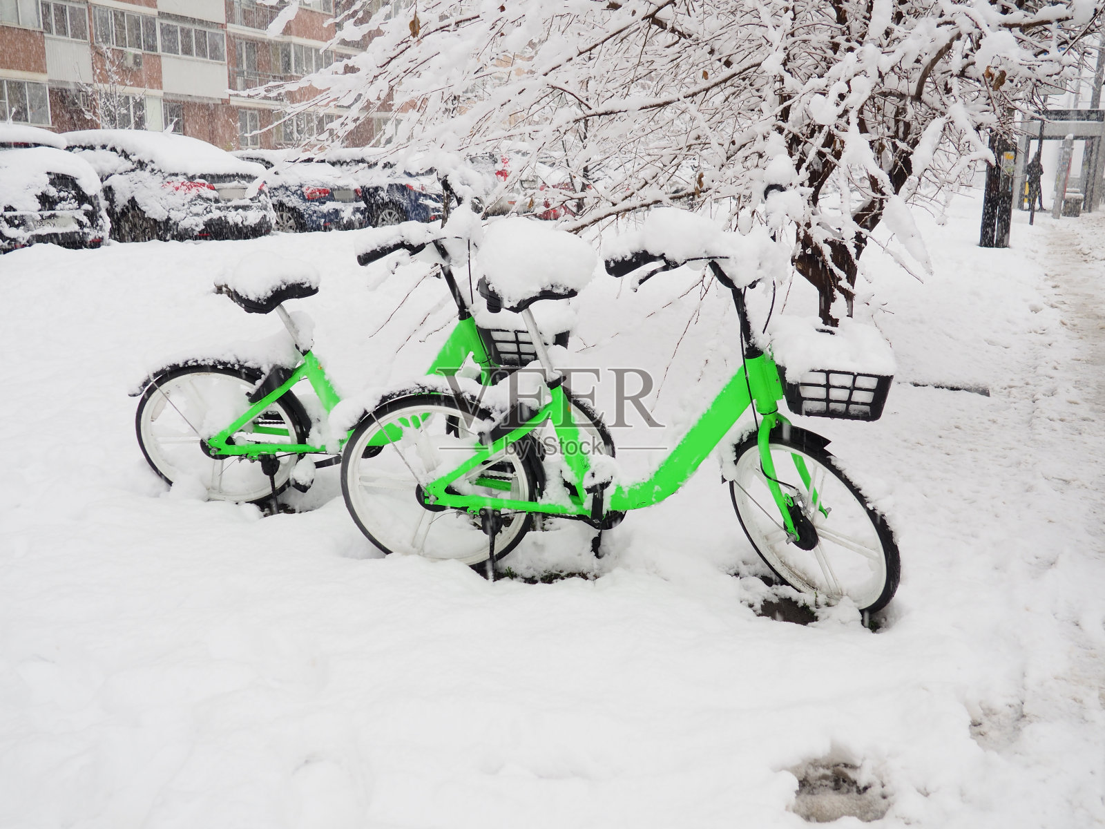 两辆绿色自行车在雪下出租，雪天启照片摄影图片