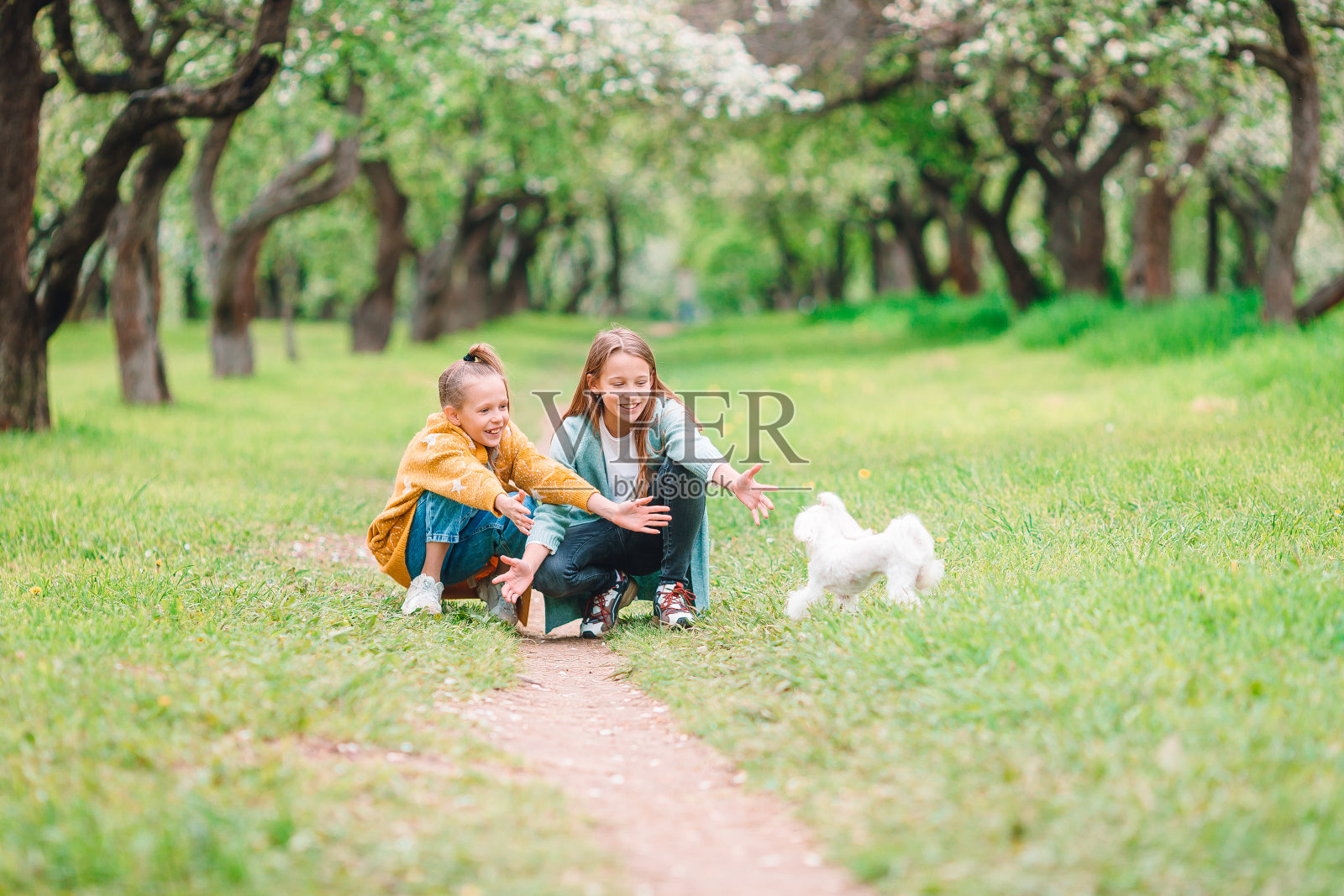 小女孩微笑着在公园里和小狗玩耍和拥抱照片摄影图片