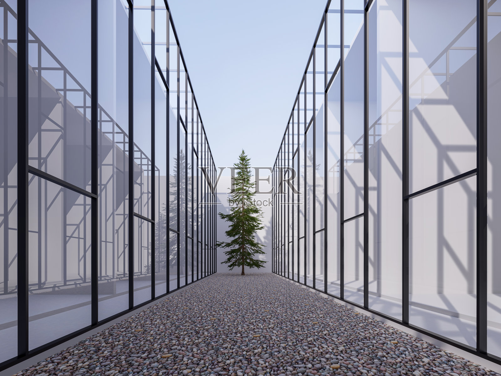 河石花园与松树之间的玻璃幕墙建筑3d渲染照片摄影图片