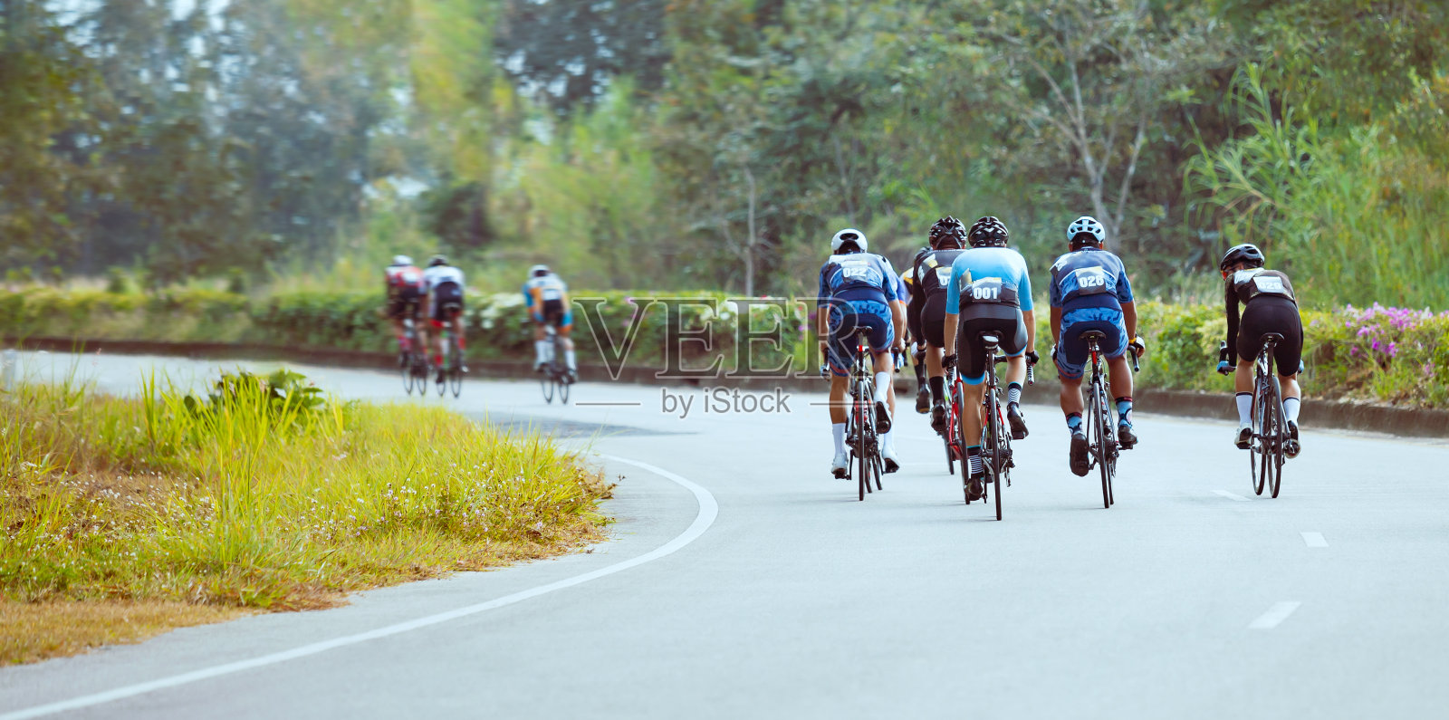 在自行车比赛中的一组职业自行车手照片摄影图片