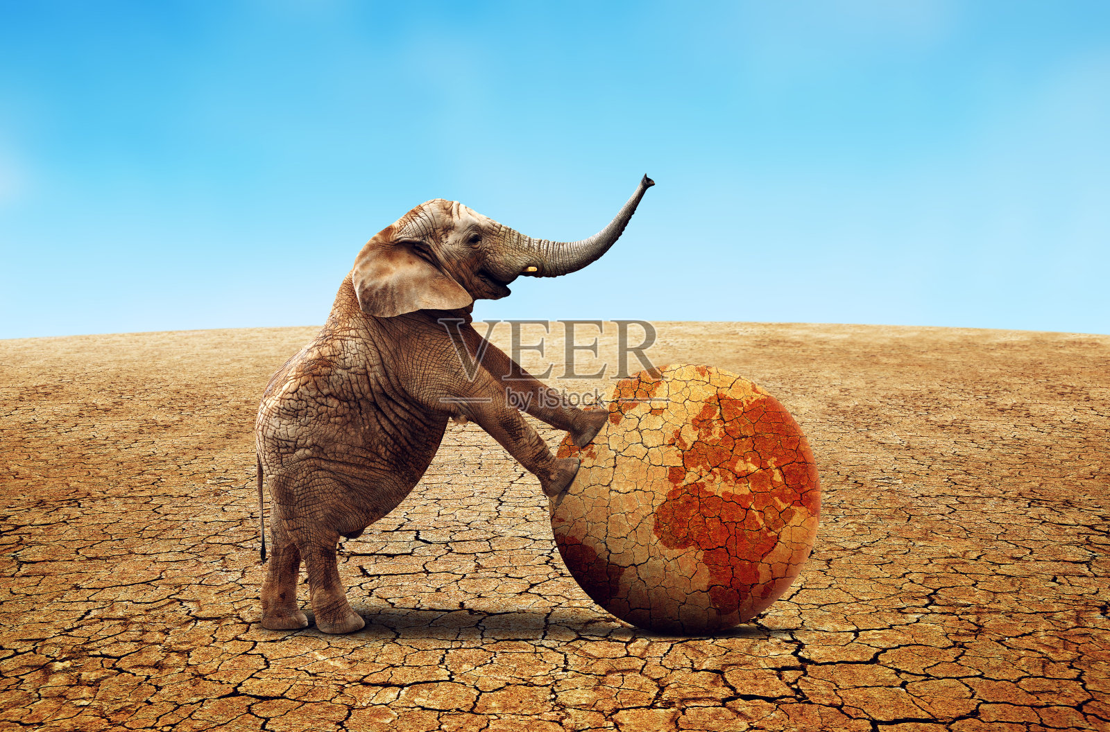 孤独的大象和干燥的地球。照片摄影图片