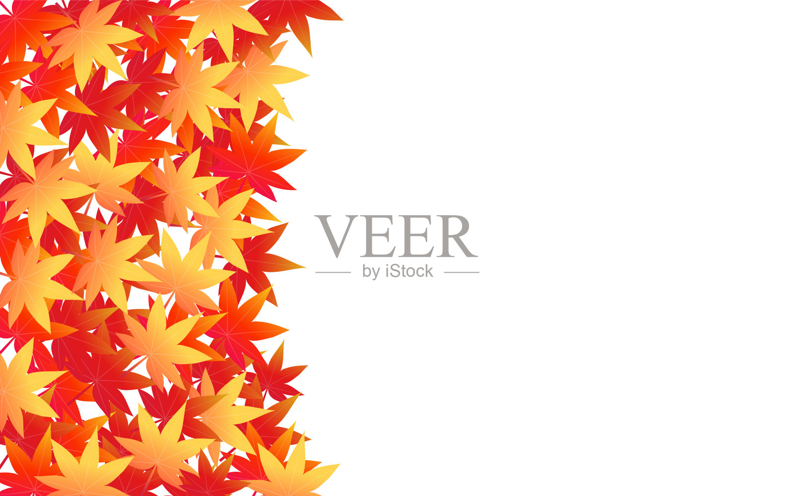 秋叶背景材质，秋叶左侧，白色背景插画图片素材