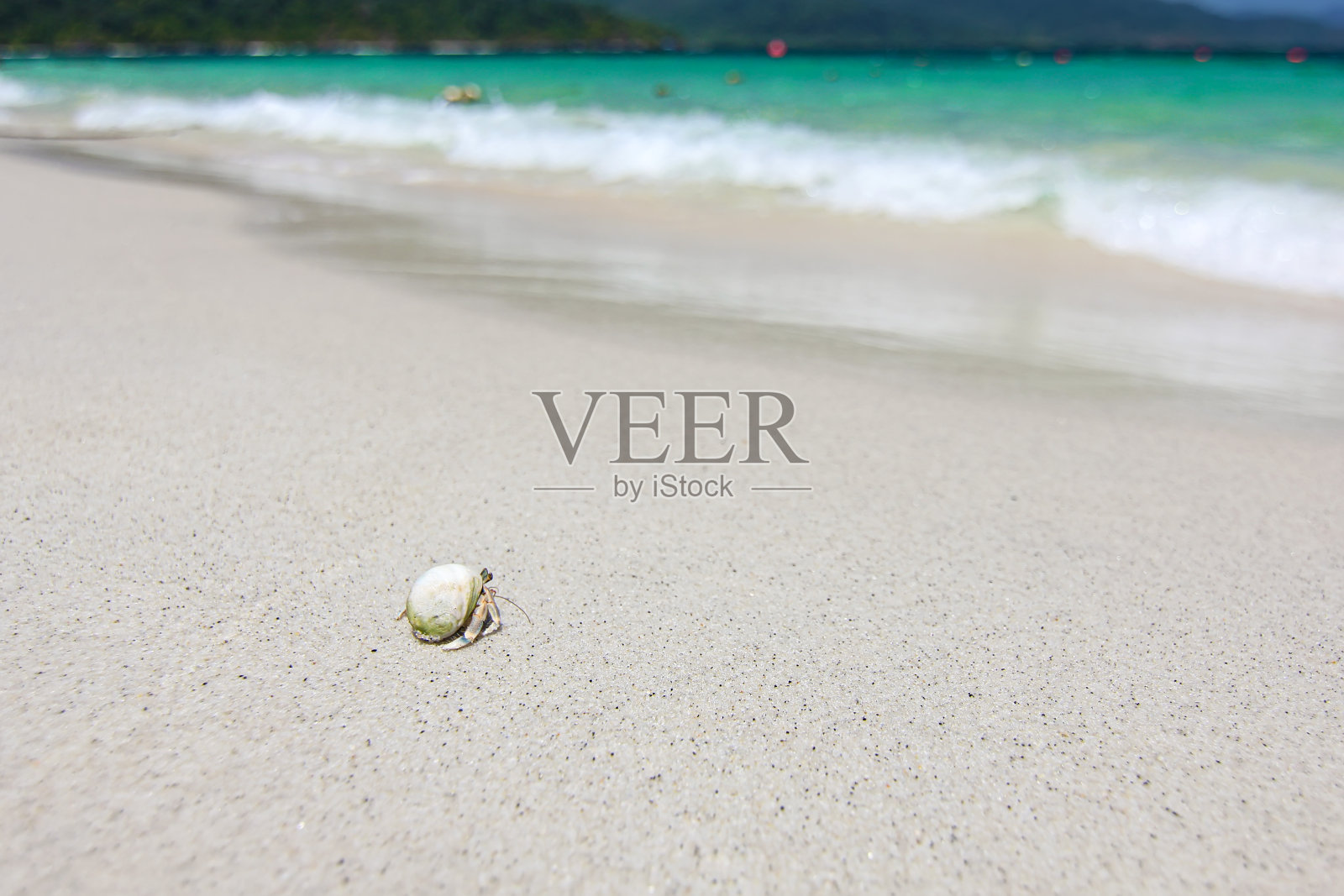 寄居蟹漫步在美丽的泰国旅游岛“Koh Lipe”白色沙滩上，绿松石海水和海浪背景景观模糊照片摄影图片