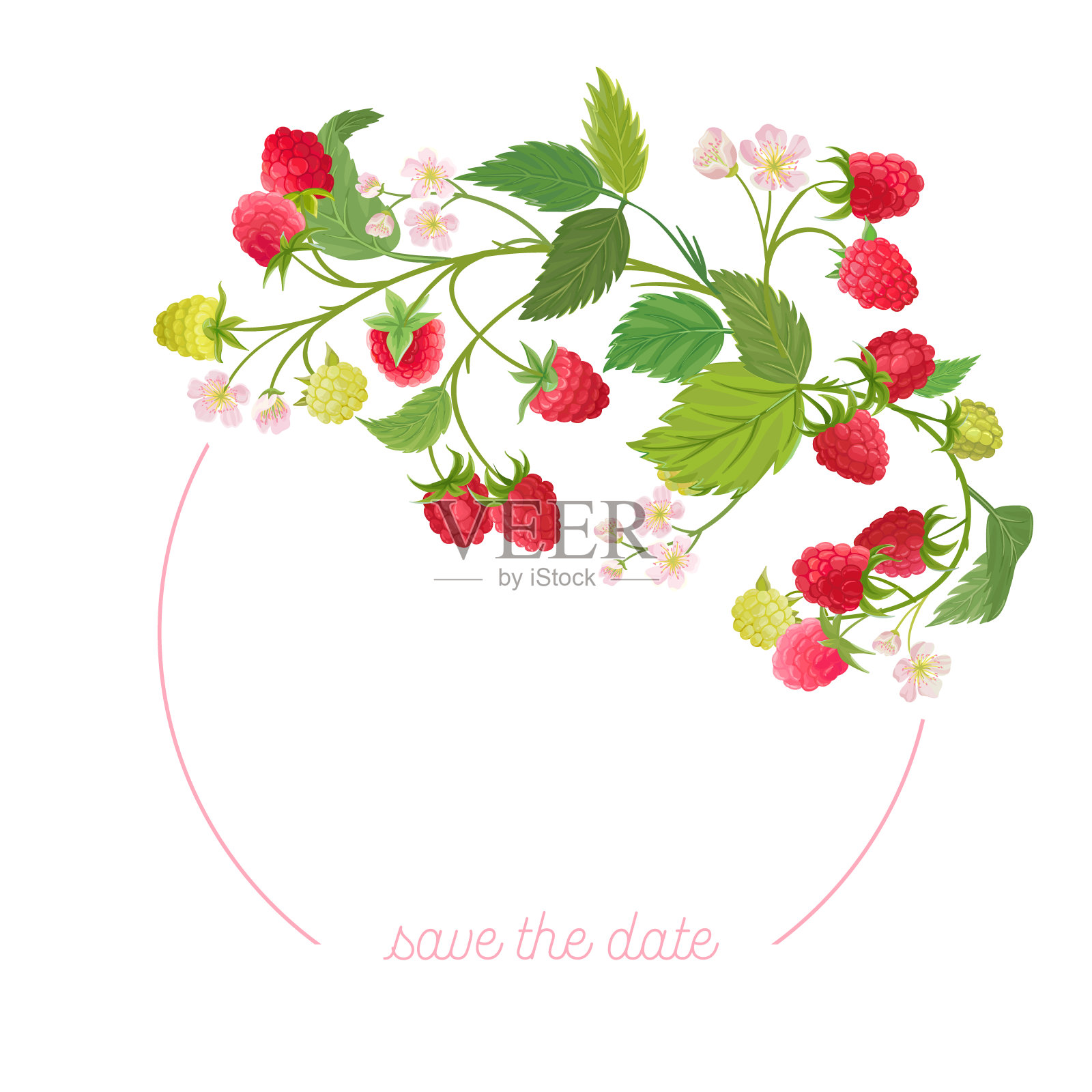 树莓花圈与水彩水果浆果，花，叶。矢量夏季vintage横幅插图。婚礼摩登请柬，时尚贺卡，奢华设计插画图片素材