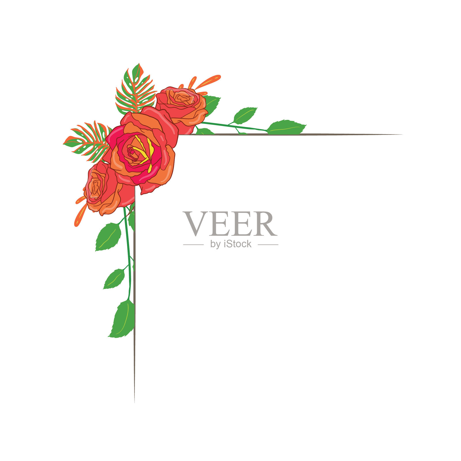 美丽的矢量花叶安排设置图形优雅的花和叶在彩色插图。可以用于你的婚礼或任何邀请模板吗设计元素图片