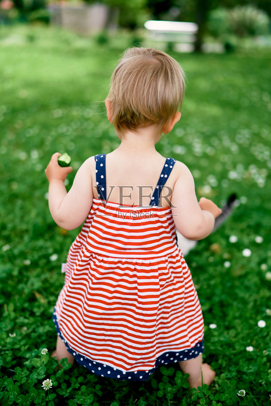 小女孩手里拿着一根黄瓜站在花圃里。后视图照片摄影图片
